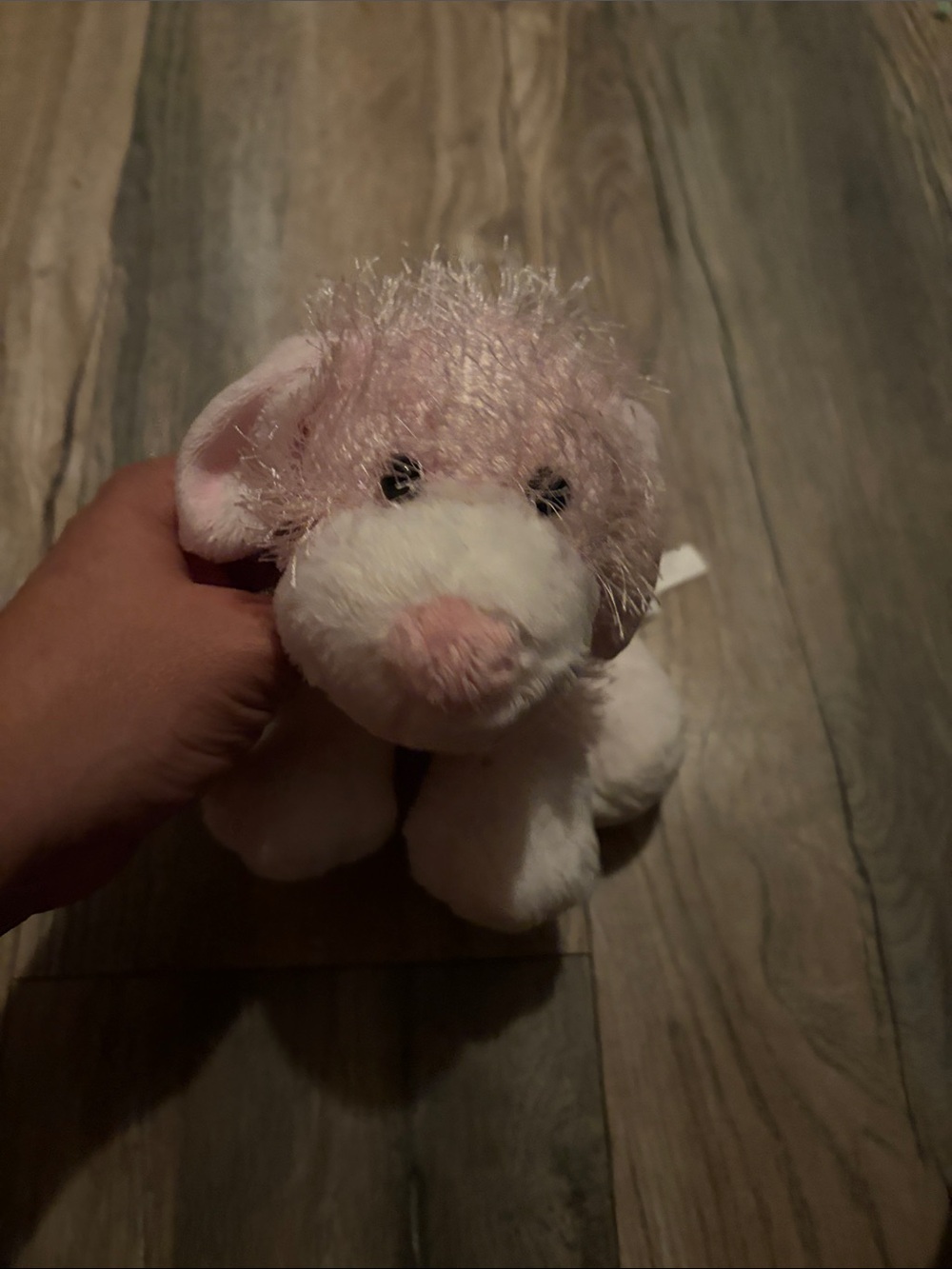 Webkins pink puppy no code